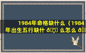 1984年命格缺什么（1984年出生五行缺什 🦄 么怎么 🌿 看）
